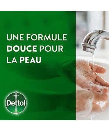 Dettol - No-Touch Liquid Hand Soap Refill - Cleansing Action Rose Water & Shea Butter and Lemon - 10 Refills 250ml - Buy Online on GoSupps.com