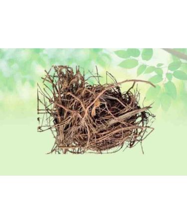 Bargad Ki Dadhi-Banyan Aerial Roots-Raw Herbs-Bar Ki Dari-Badh Ki Dadhi-Jadi Booti-Single Herbs (100 Gram) - Buy Online on GoSupps.com