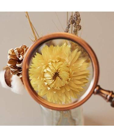 Wooden Magnifier 10 High-Retro Handheld Handheld Optical Child Student Old Man Reading Appraisal Maintenance Old Age Magnifier 3 Times HD Enlarged Mirror 5 Times Good Times - Buy Online on GoSupps.com