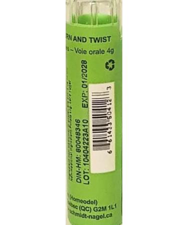 Candida Albicans 200K Homeopathy Medicine Schmidt-Nagel Canada (Homeodel) 90 pellets/granules - Buy Online on GoSupps.com