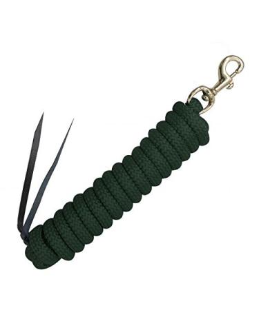 Showman Hunter Green Nylon Training Lead Rope Leather Ends 14' w/Brass Snap