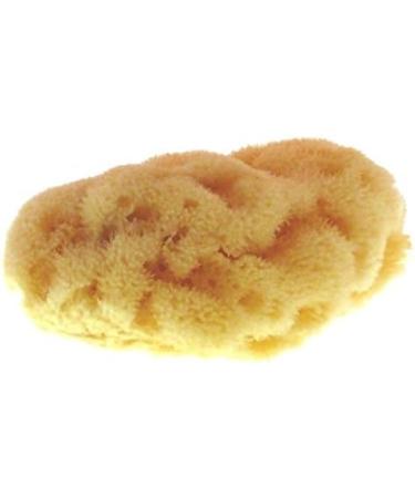 Natural Mediterranean Sea Sponges for Menstrual Cycle - Size XS | Eco-Friendly & Sustainable - Buy Online on GoSupps.com