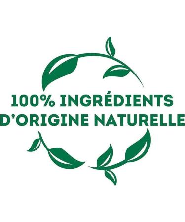 Lipton Th Vert Marrakech Mint 50 Capsules Compatibles Nespresso Antioxydant et Parfum Menthe Fra che et D licate Label Rainforest Alliance 5x10 Capsules - Buy Online on GoSupps.com