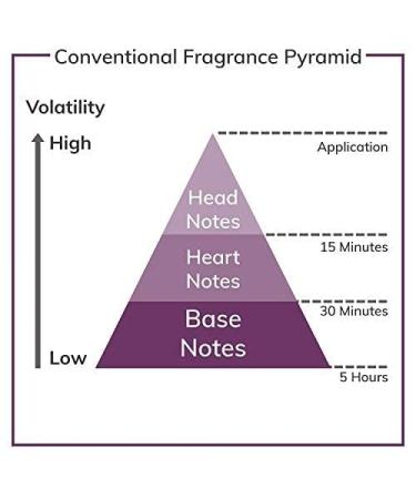 Bebe Sheer Eau De Parfum Spray for Women 3.4 Ounce - Buy Online on GoSupps.com