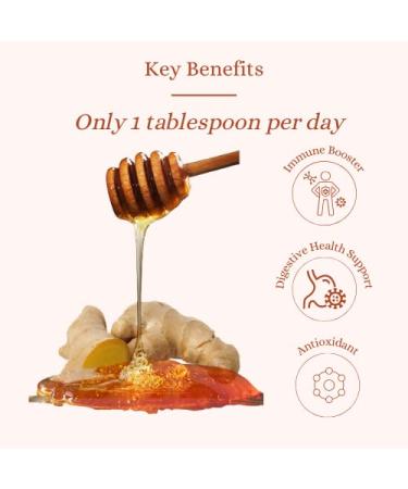 LES ABEILLES DE MALESCOT Ginger Honey (4.4 oz) - Natural Immune Support & Antioxidant | Raw & Unfiltered - Buy Online on GoSupps.com