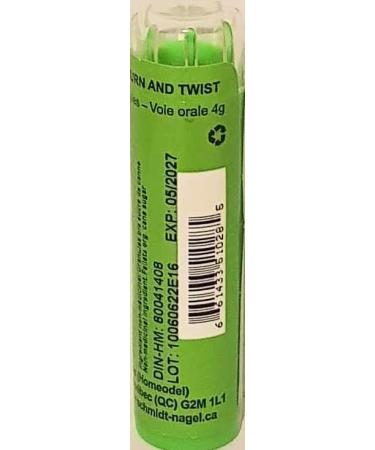 Thuya (Thuja) Occidentalis 6CH Homeopathy Medicine Schmidt-Nagel Canada (Homeodel) 90 pellets/granules - Buy Online on GoSupps.com