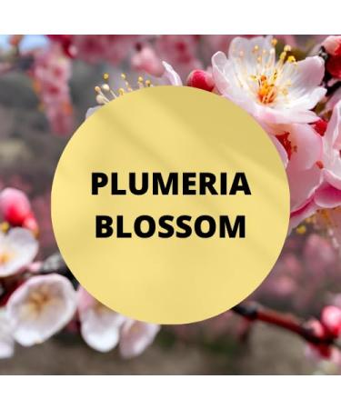Black Canyon Plumeria Blossom Scented Body Spray with Jojoba Oil 1 Gal (2 Pack) - Buy Online on GoSupps.com