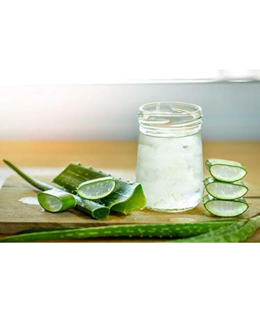 bodi : Aloe Vera Gel - 100% Pure Natural Chemical Free - Used Internal & External (8 16 32 oz) (32 oz) 32 Ounce (Pack of 1) - Buy Online on GoSupps.com