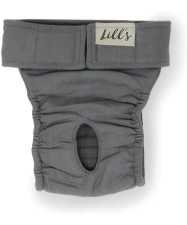 Lill's Fuse Pants for Women - Flexible Closure Organic Cotton Extra Absorbent Washable - Size XS to XXL in Stone Gray - Buy Online on GoSupps.com