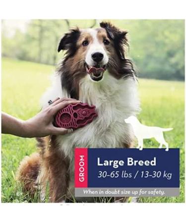 KONG Zoom Groom Multi-Use Dog Brush in Pink - Gentle Pet Grooming Tool - Buy Online on GoSupps.com