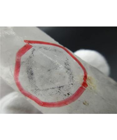 Rare! Natural Clear Quartz Channel with Water Bladder Reiki Fengshui Crystal Minerals Stones - Buy Online on GoSupps.com