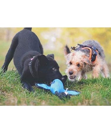 Nerf Dog Trackshot Duck Launcher Toy blue - Buy Online on GoSupps.com