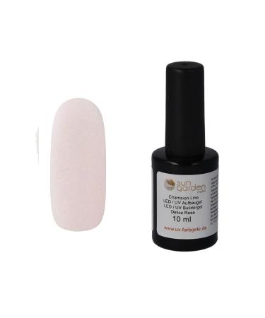 Gel lacquer champion line in the brush bottle 10ml nail set Geln gel Buildergel uv gel assembly gel Delice rose in the brush bottle 10ml