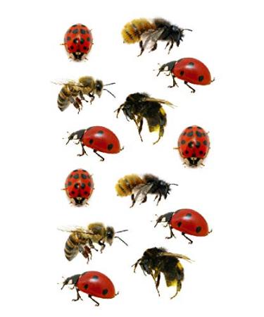SanerLian Bee Ladybug Temporary Tattoo Stickers - Set of 12 | Waterproof Cartoon Fake Tattoos for Kids | Ideal for Hand, Arm, Party Favors - Buy Online on GoSupps.com