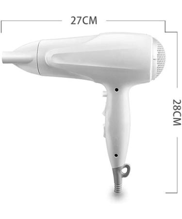 Hair Dryer 2200W Ionic Professional Blow Dryer with Air Nozzle 2 Speed 3 Heat Settings and Cool Shot Button Powerful AC Motor Fast Drying for Men and Women Home and Salon Small Gift - Buy Online on GoSupps.com
