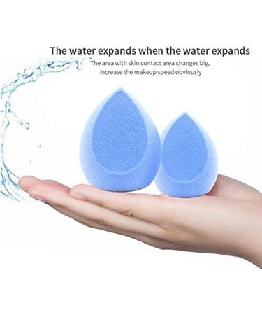 Makeup Sponge Makeup Sponge Microfiber Professional Fluff Surface Cosmetic Puff Tool for Women Powder Foundation Velvet Make up Puff Makeup Sponge Holder(MS-WD.TC.D.01-black) - Buy Online on GoSupps.com