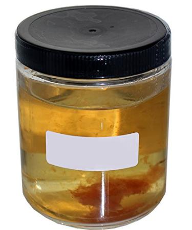 Supreme Rice Wine Mother Of Vinegar - Authentic Asian Cooking Essential - Buy Online on GoSupps.com