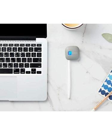 Buy Lock & Lock Toothbrush Sterilizer - Portable UV LED Disinfection Container for Toothbrush Heads - Gray - Buy Online on GoSupps.com
