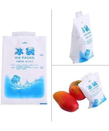 Buy 20pcs Dry Ice Gel Packs - Food Grade Freezable Cooler Gel Bags for Shipping | International Delivery - Buy Online on GoSupps.com