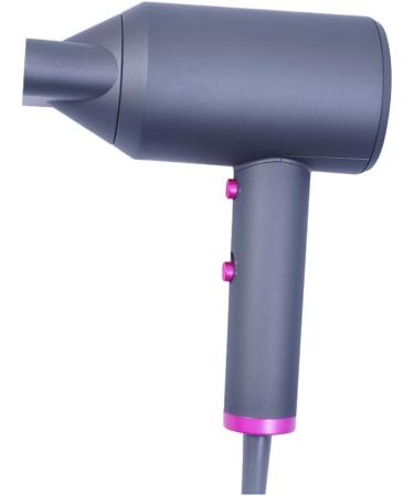 Hair Dryer Professional 1600W Hair dryers Ionic Salon Hairdryer 2 Speed and Cool Shot Button DC Motor Blow Dryer with Concentrator Fast Drying Time Reduce Frizz and Static Anti for Hair Salon Small - Buy Online on GoSupps.com