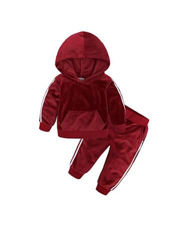 Boys Girls 2Pcs Velvet Hooded Tracksuit Toddler Kids Fleece Hoody Top + Sweatpants Sweatsuit Outfits Set 9-12 Months Color 07