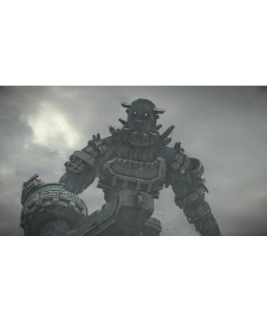 Buy Noname Shadow of the Colossus - International Shipping Available | Best Price & Fast Delivery - Buy Online on GoSupps.com