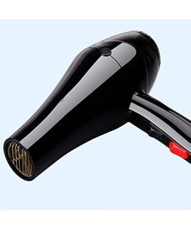 Professional Hair Dryer for Faster Drying Negative Ion Blow Dryer with 2 Speed and 3 Heat Setting Hairdryer Ac Motor with Diffuser & 2 Concentrator for Healthy Hair - Buy Online on GoSupps.com