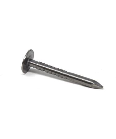 Design61 Belt Pins - 2.0 x 20 mm Large Round Head Nails (100g 170 Pieces) for International Shipping - Buy Online on GoSupps.com