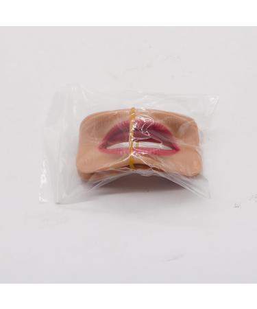 Buy Dental Aesthetics Lip Test Set - Porcelain Clinical Examination | International Shipping Available - Buy Online on GoSupps.com