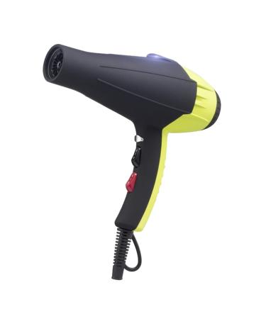2300W Hair Dryer Ionic Hair Blow Dryer 3 Heat Settings and 2 Speed Lightweight Hair Dryers and 1 Key Cold air Button Button Powerful Hairdryer with 1 Concentrator for Women Men Blue Small Gift Green