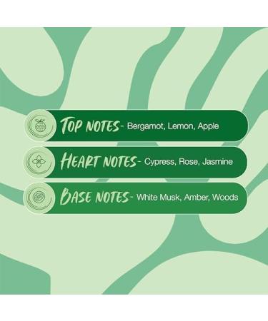 thakor craft Body Mist Combo for Women Pack of 2 (120 Ml Each) l Dew & Magic Body Mist l Long-Lasting Fragrance l Dermatologically Tested & Safe on Skin - Buy Online on GoSupps.com