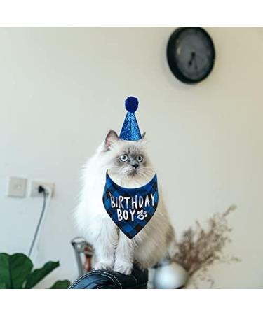 Kuou Dog Birthday Bandana - Cute Boy Pet Birthday Party Supplies in Blue - Buy Online on GoSupps.com