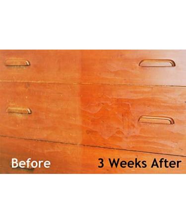 PERMA-EARTH Organic Natural Furniture Polish - Citrus Scent - 100% Natural Wood Leather & Stainless Steel Cleaner - 8 oz - Buy Online on GoSupps.com