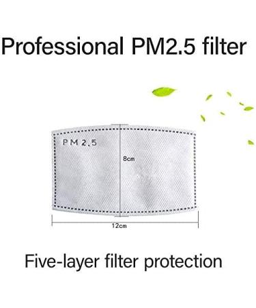 100PCS Adult Mask Filer PM2.5 Activated Carbon Filter | Replaceable 5-Layer Anti Haze Filter Paper - Buy Online on GoSupps.com