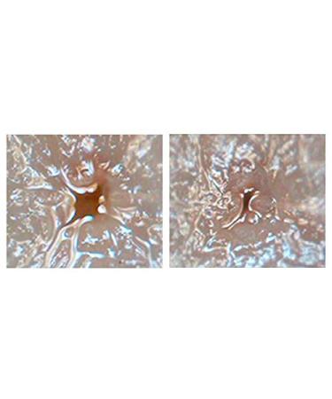 SKINMISO Pore Minimizing Serum 30ml - Facial Pore Serum for Flawless Skin - Buy Online on GoSupps.com