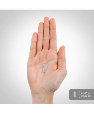 Piping Rock Vitamin C 1000mg | 250 Capsules | with Bioflavonoids and Rose Hips | Supplement for Women and Men | Non-GMO Gluten Free - Buy Online on GoSupps.com