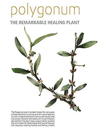 Moraz Polygonum Teenage Facial Cream - Oil-Free Moisturizer for Oily Skin | Lightweight Mattifying Face Cream 1.7 oz - Shop Now Globally - Buy Online on GoSupps.com