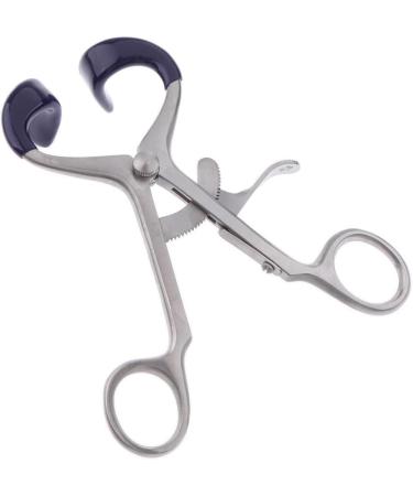 11.9 cm Silver Tooth Enrollment | International Shipping Available - Buy Now - Buy Online on GoSupps.com