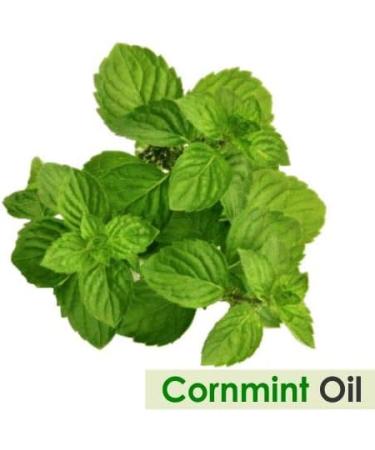 Buy 100% Natural Salvia Cornmint Oil - Pure Undiluted Mentha Arvensis Essential Oil 30ml | Fast International Shipping - Buy Online on GoSupps.com
