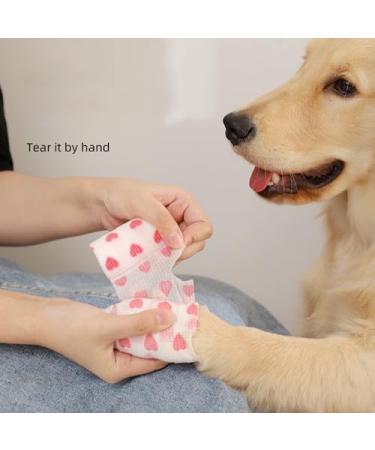 Anampion Self-Adhering Bandage - 5cm x 4.5m Non-Woven Adhesive Bandage for Humans & Animals | Flexible Self-Adhesive for Ankle Swelling | 12 Rolls in 12 Color Mix - International Shipping Available - Buy Online on GoSupps.com