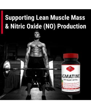 Buy Olympian Labs Agmatine 500 mg - 60 Vegetarian Capsules | Worldwide Shipping - Buy Online on GoSupps.com