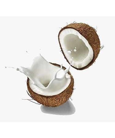 ORGANIZE AOZA Holy Natural The Miracle of World Rich Coconut Milk Powder 400 GM - Buy Online on GoSupps.com