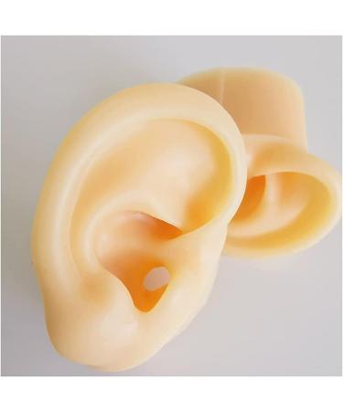 Silicone Ear Model - Simulation Human Body Part Silicone Model Artificial Ear Model - 1:1 Human Ear Model Simulation Display Props Teaching Tool Jewelry Display Earrings - Buy Online on GoSupps.com