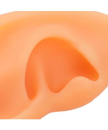 Human Ear Model Acupuncture 2-Piece Set | Soft Silicone Clear Structure for Training - Buy Online on GoSupps.com