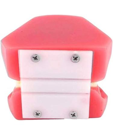 Orthodontic Teeth Model with Mental Brackets & Red Ligature - Tipodonto Dental Support for Treatment - Buy Online on GoSupps.com