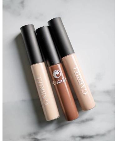 Gabriel Cosmetics Cream Concealer - Light, Neutral Undertones, 0.30 fl oz - Buy Online on GoSupps.com