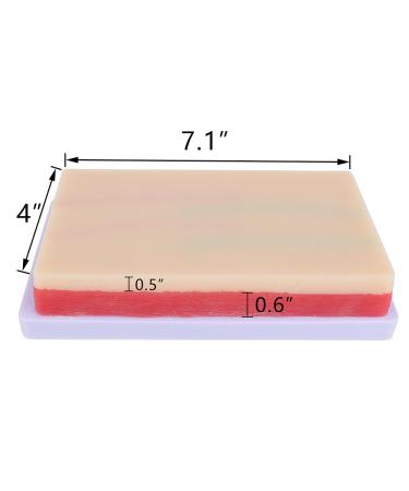 4 Pcs Venipuncture IV Injection Training Pad - Silicone Human Skin Suture Model with 4 Veins, 3 Skin Layers for Injection Practice - Buy Online on GoSupps.com