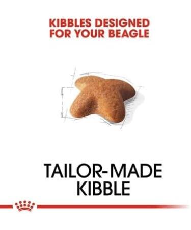 Royal Canin Beagle Adult Dry Dog Food 12kg - Buy Online on GoSupps.com