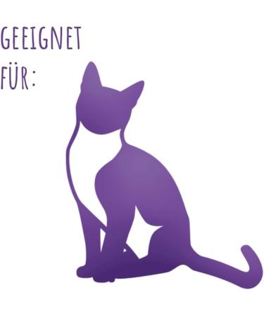 Futtermedicus Feli Senior 150g - Supplementary Feed for Older Cats | Vitamins & Minerals | Tasty Fish Powder - Buy Online on GoSupps.com