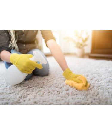 Buy Kaiserrein Professional Powerbac 2-in-1 Odor Neutralizer & Cleaner - Pet Safe for Cages Cars Upholstery & Carpets | International Shipping - Buy Online on GoSupps.com
